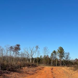 Photo #8 of PATTESON PLACE ROAD, SCOTTSVILLE, VA 148.6 acres