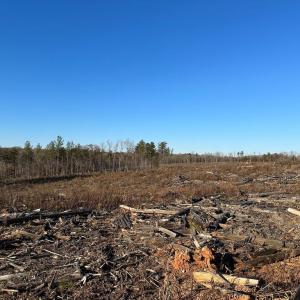 Photo #9 of PATTESON PLACE ROAD, SCOTTSVILLE, VA 148.6 acres