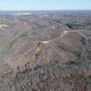 Photo #10 of PATTESON PLACE ROAD, SCOTTSVILLE, VA 148.6 acres