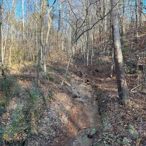 Photo #11 of PATTESON PLACE ROAD, SCOTTSVILLE, VA 148.6 acres
