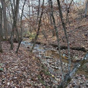 Photo #5 of OLD DRIVER HILL ROAD, SCOTTSVILLE, VA 303.0 acres
