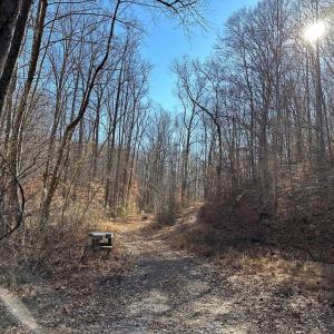 Photo #9 of OLD DRIVER HILL ROAD, SCOTTSVILLE, VA 303.0 acres