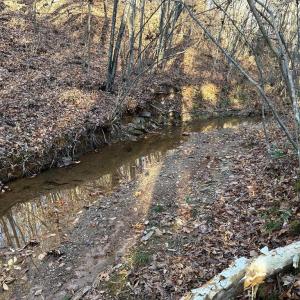 Photo #15 of OLD DRIVER HILL ROAD, SCOTTSVILLE, VA 303.0 acres