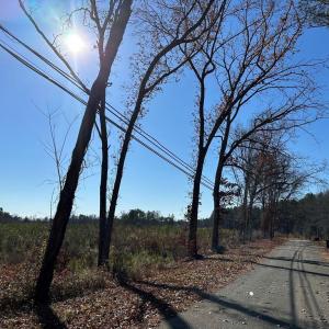 Photo #8 of OLD DRIVER HILL ROAD (TRACT: H.M. DUVAL-WEST), SCOTTSVILLE, VA 303.0 acres