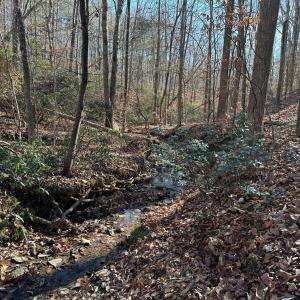 Photo #6 of OLD DRIVER HILL ROAD (TRACT: H.M. DUVAL-1), SCOTTSVILLE, VA