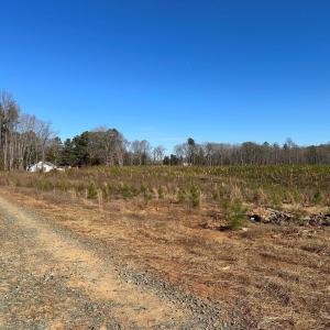 Photo #7 of OLD DRIVER HILL ROAD (TRACT: H.M. DUVAL-1), SCOTTSVILLE, VA
