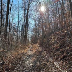 Photo #11 of OLD DRIVER HILL ROAD (TRACT: H.M. DUVAL-1), SCOTTSVILLE, VA