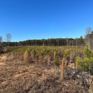 Photo #12 of OLD DRIVER HILL ROAD (TRACT: H.M. DUVAL-1), SCOTTSVILLE, VA