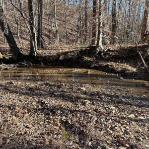 Photo #17 of OLD DRIVER HILL ROAD (TRACT: H.M. DUVAL-1), SCOTTSVILLE, VA