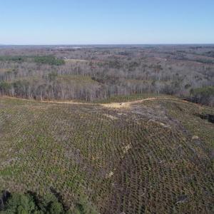 Photo #19 of OLD DRIVER HILL ROAD (TRACT: H.M. DUVAL-1), SCOTTSVILLE, VA