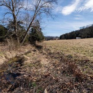 Photo #39 of 4 SHULER LN, STANLEY, VA 8.9 acres