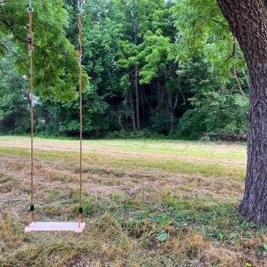 Photo #46 of 4 SHULER LN, STANLEY, VA 8.9 acres