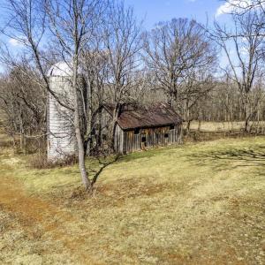 Photo #11 of OLD TAVERN RD, THE PLAINS, VA 190.0 acres