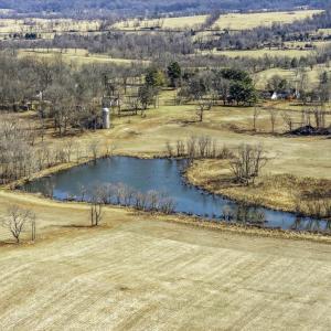 Photo #26 of OLD TAVERN RD, THE PLAINS, VA 190.0 acres