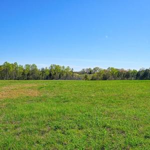 Photo #6 of TATUM DR, MINERAL, VA 0.4 acres