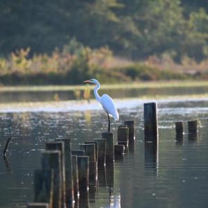 Photo #34 of TATUM DR, MINERAL, VA 0.4 acres