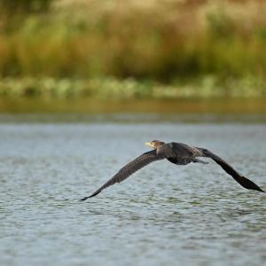 Photo #37 of TATUM DR, MINERAL, VA 0.4 acres