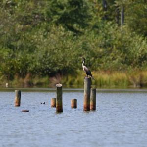 Photo #39 of TATUM DR, MINERAL, VA 0.4 acres