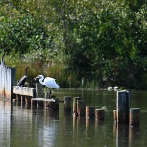 Photo #35 of TATUM DR, MINERAL, VA 0.4 acres