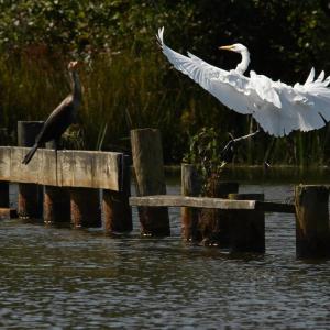 Photo #36 of TATUM DR, MINERAL, VA 0.4 acres