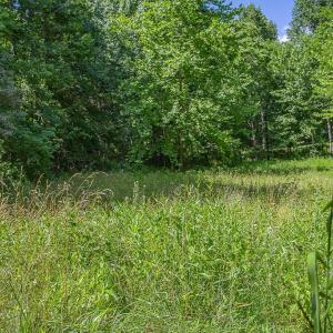 Photo #3 of PINE TORCH, MADISON, VA 3.0 acres