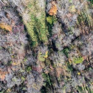 Photo #12 of PINE TORCH, MADISON, VA 3.0 acres