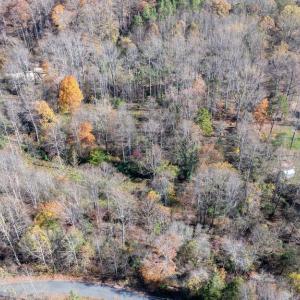 Photo #13 of PINE TORCH, MADISON, VA 3.0 acres