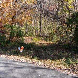 Photo #21 of PINE TORCH, MADISON, VA 3.0 acres