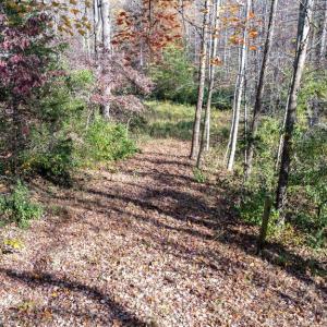 Photo #1 of PINE TORCH, MADISON, VA 3.0 acres