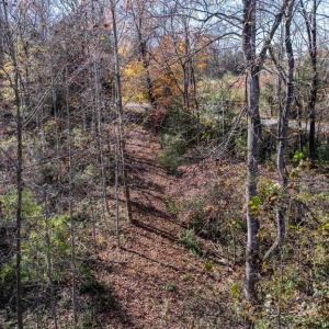 Photo #24 of PINE TORCH, MADISON, VA 3.0 acres