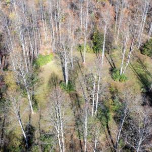 Photo #26 of PINE TORCH, MADISON, VA 3.0 acres