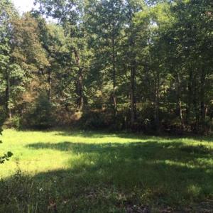 Photo #34 of PINE TORCH, MADISON, VA 3.0 acres