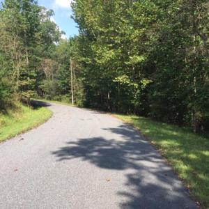 Photo #36 of PINE TORCH, MADISON, VA 3.0 acres