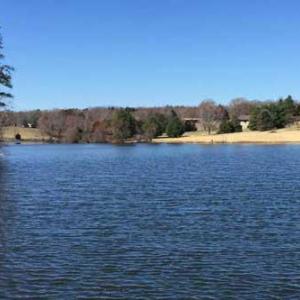 Photo #39 of PINE TORCH, MADISON, VA 3.0 acres