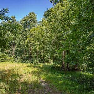 Photo #2 of PINE TORCH, MADISON, VA 3.0 acres