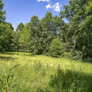 Photo #4 of PINE TORCH, MADISON, VA 3.0 acres