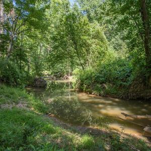 Photo #10 of PINE TORCH, MADISON, VA 3.0 acres