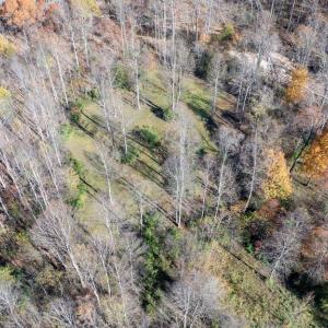 Photo #15 of PINE TORCH, MADISON, VA 3.0 acres