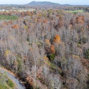 Photo #19 of PINE TORCH, MADISON, VA 3.0 acres