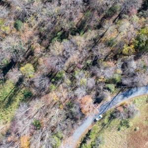 Photo #22 of PINE TORCH, MADISON, VA 3.0 acres