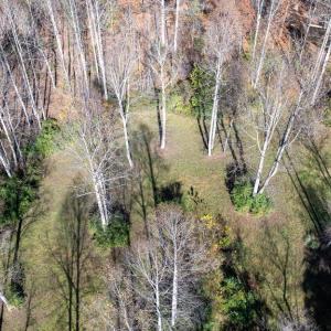 Photo #27 of PINE TORCH, MADISON, VA 3.0 acres