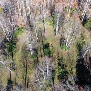 Photo #28 of PINE TORCH, MADISON, VA 3.0 acres