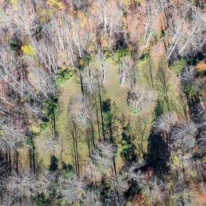 Photo #29 of PINE TORCH, MADISON, VA 3.0 acres