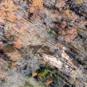 Photo #30 of PINE TORCH, MADISON, VA 3.0 acres