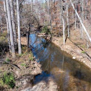 Photo #33 of PINE TORCH, MADISON, VA 3.0 acres