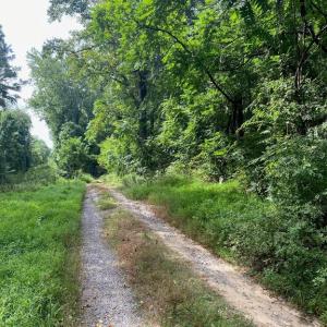 Photo #2 of JACKSON LANE, BOSTON, VA 10.0 acres