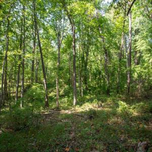 Photo #6 of JACKSON LANE, BOSTON, VA 10.0 acres