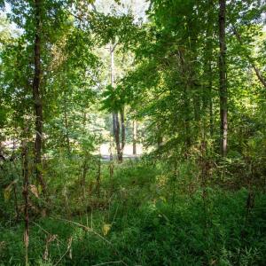 Photo #9 of JACKSON LANE, BOSTON, VA 10.0 acres