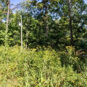 Photo #10 of JACKSON LANE, BOSTON, VA 10.0 acres