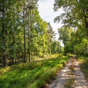 Photo #13 of JACKSON LANE, BOSTON, VA 10.0 acres